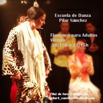 Flamenco para adultos