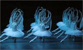 Imagen 50 aniversario